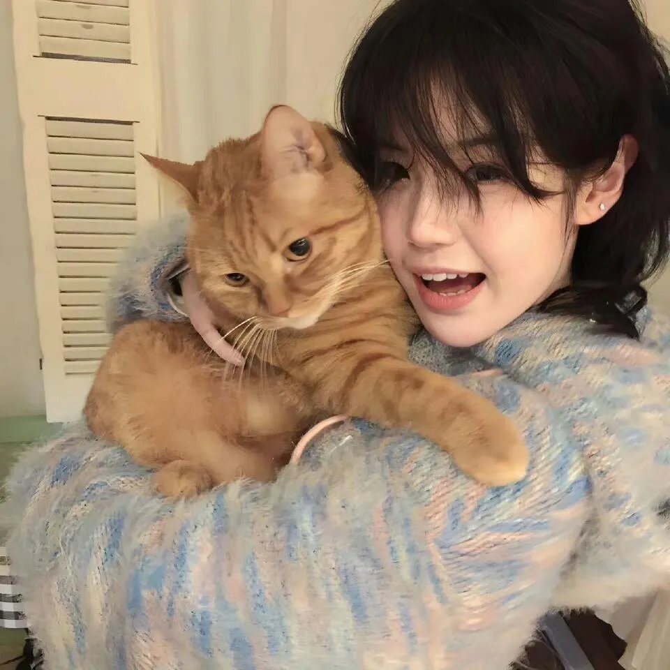 乐高DC超级英雄美少女：失忆大冒险